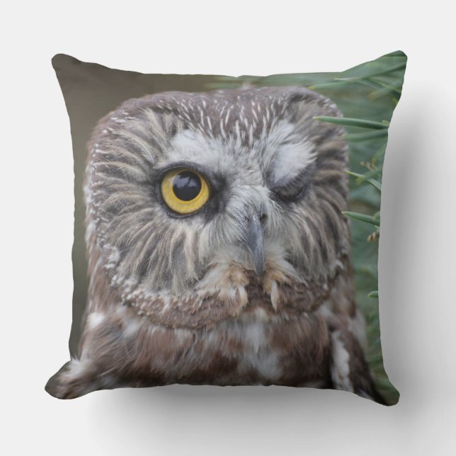 Saw-whet Owl Throw Pillow (Front)