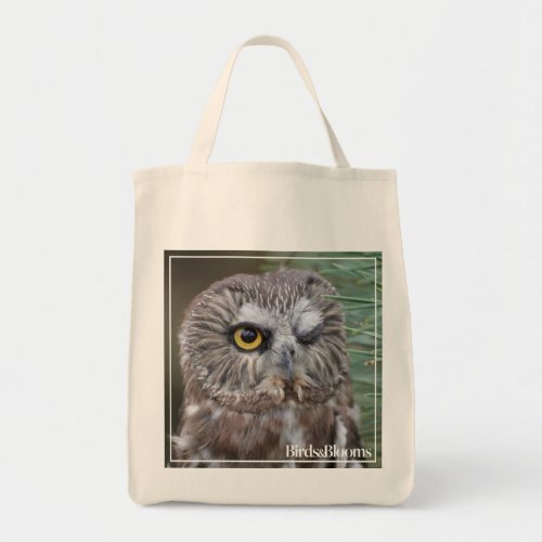 Saw_whet Owl Tote Bag