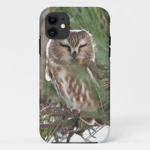 Saw Whett Owl Sleeps outside Motel on Jersey Shore iPhone 11 Case