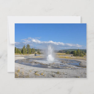 Sawmill Geyser, Yellowstone National Park Postcard