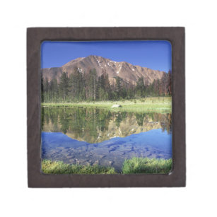 Sawtooth Mountains reflected in Fourth of July Gift Box