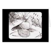 Saxon Field Pigeon (Front Horizontal)