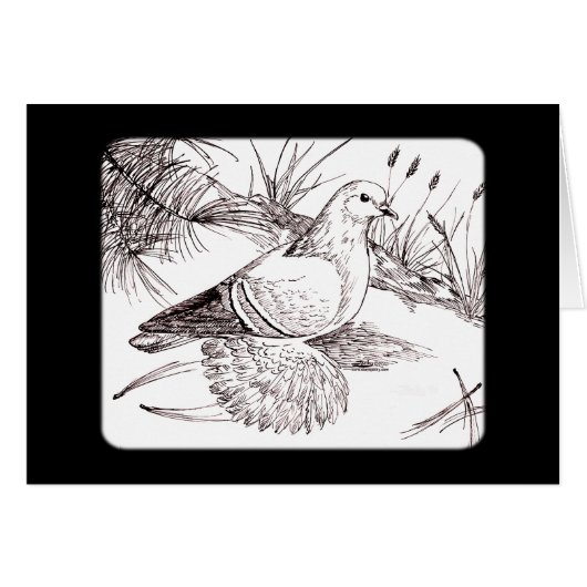 Saxon Field Pigeon (Front Horizontal)