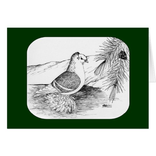 Saxon Shield Pigeon 1973 (Front Horizontal)