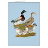 Saxony Duck Family (Front)