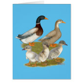 Saxony Duck Family (Front)