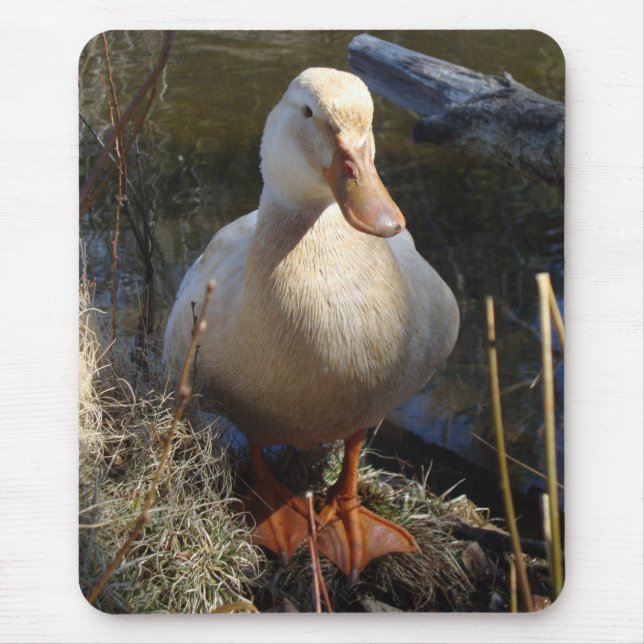 Saxony Duck Mousepad (Front)