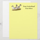 Saxony Ducklings (Front/Back)