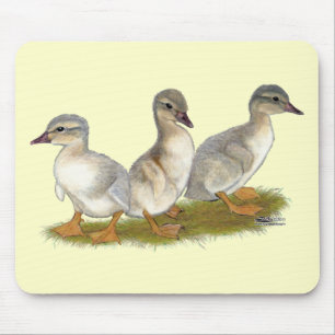 Saxony Ducklings Mouse Pad