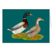 Saxony Ducks (Front Horizontal)