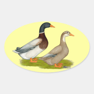 Saxony Ducks Oval Sticker