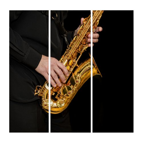 Saxophone Player hands Saxophonist playing jazz  Triptych