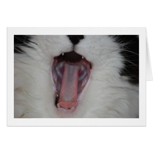 Say Ah/Dentist Humor (Front Horizontal)