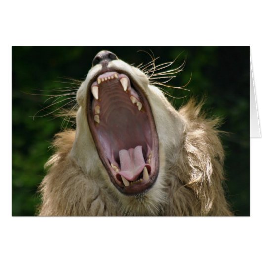 say ahhh (Front Horizontal)