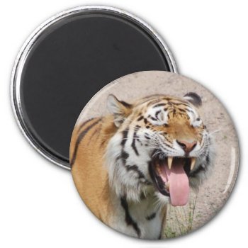 Say Ahhhh Magnet by pulsDesign at Zazzle