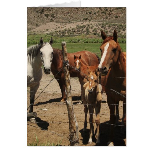 Say Cheese.....! (Front)