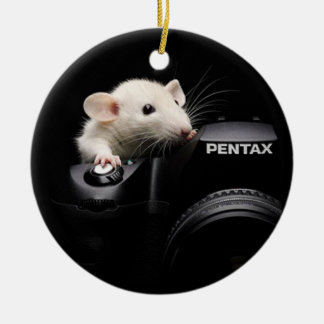 Say Cheese! Ceramic Ornament