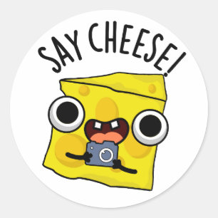Say Cheese Funny Photographer Pun Classic Round Sticker