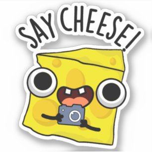 Say Cheese Funny Photographer Pun  Sticker