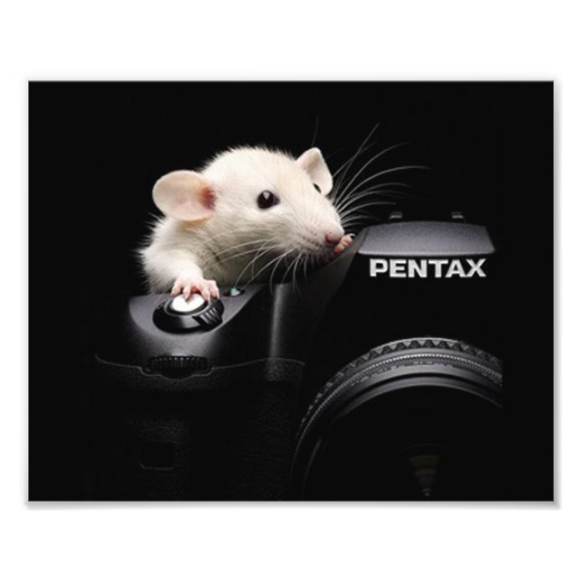 Say Cheese! Photo Print (Front)