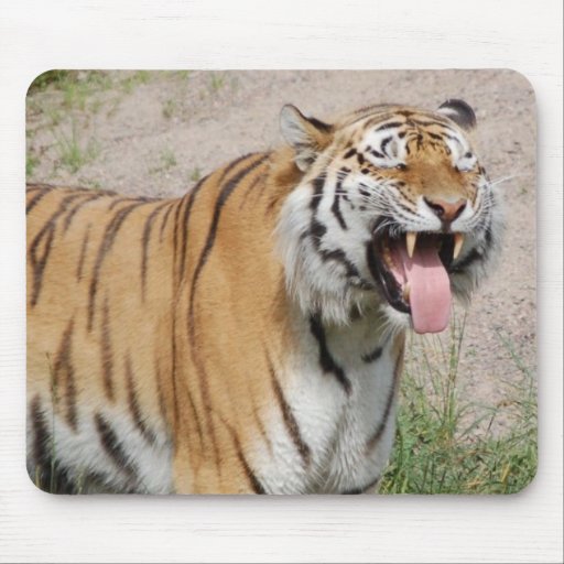 Say Cheese Tiger Mousepad | Zazzle