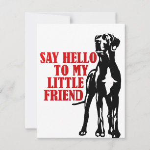 say hello to my little friend