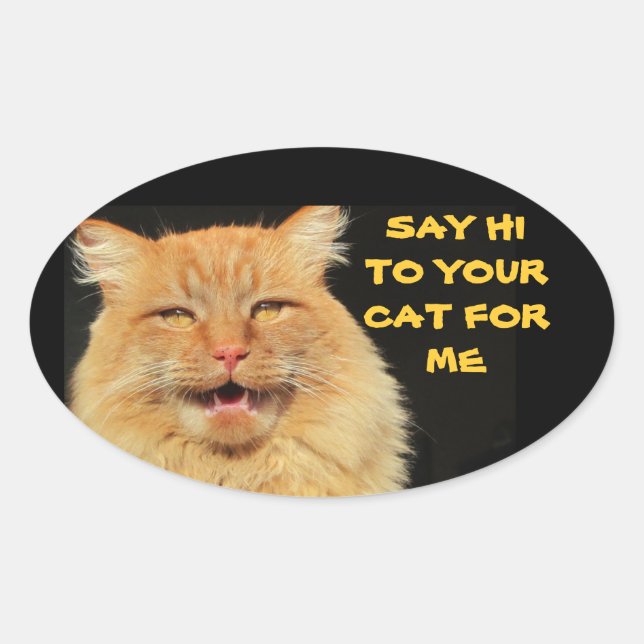 Say Hi To Your Cat Oval Sticker (Front)