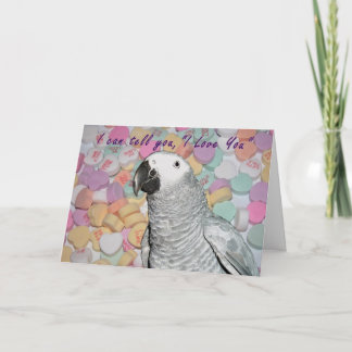 Say I Love You Holiday Card