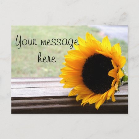 Say It In Sunflowers Postcard