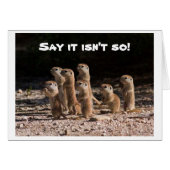 SAY IT ISN'T SO, YOU ARE HOW OLD PRAIRIE DOGS ASK (Front Horizontal)