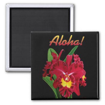 Say It With Aloha! Magnets 2 by MoonArtandDesigns at Zazzle