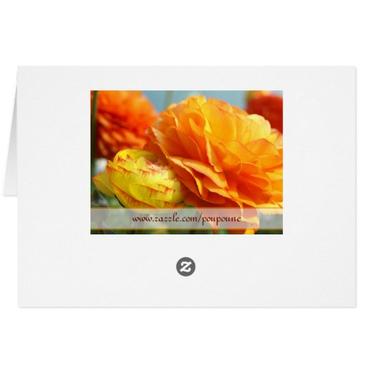 Say it with flowers (Back Horizontal)