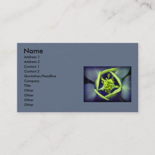 Say it with flowers business card