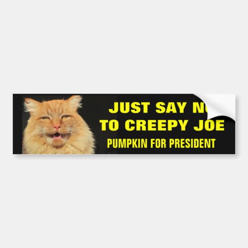 Say No To Creepy Joe Bumper Sticker