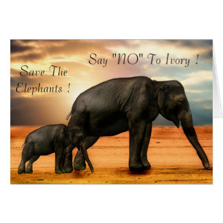 Say "NO" To Ivory Cards