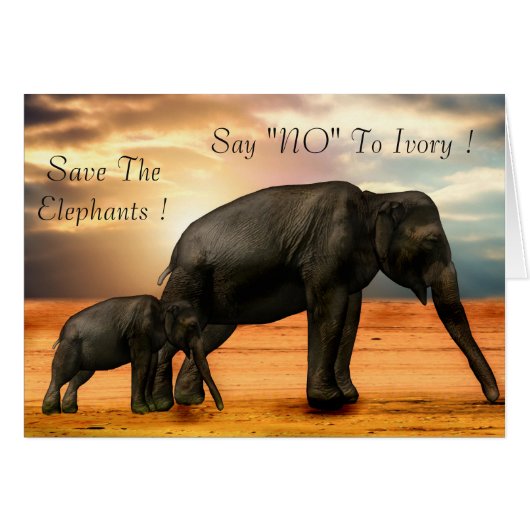 Say "NO" To Ivory Cards (Front Horizontal)