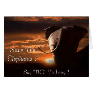 Say "NO" To Ivory Cards