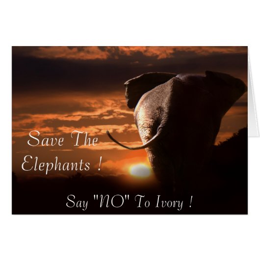 Say "NO" To Ivory Cards (Front Horizontal)