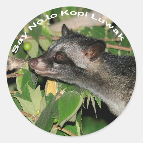 Say No to Kopi Luwak Sticker