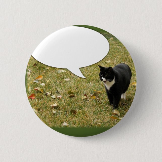 Say Something Kitty Pinback Button (Front)