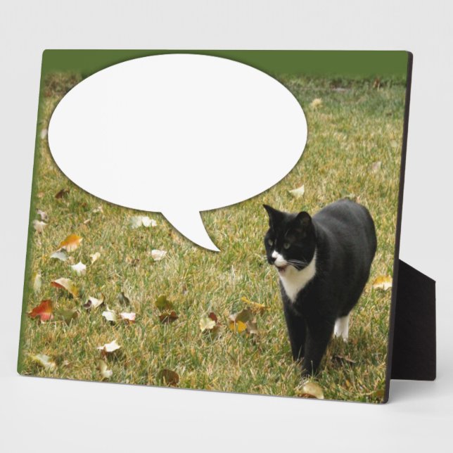 Say Something Speech Bubble Cat Fun  Plaque (Side)