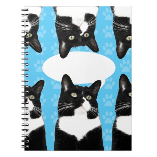 Say What Triple Cute Kitty Fun Cat Photo Art Notebook