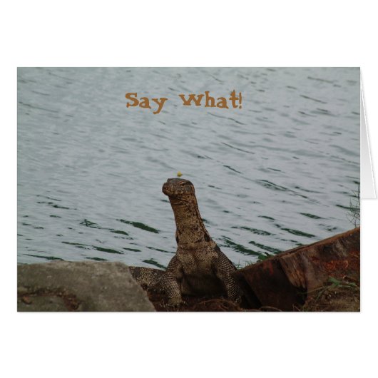 Say What! Water Monitor Cards (Front Horizontal)