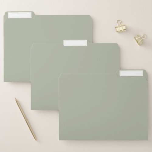 Saybrook Sage Solid Color File Folder