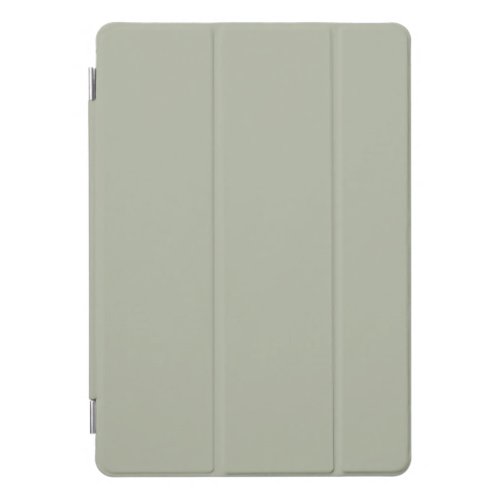 Saybrook Sage Solid Color iPad Pro Cover