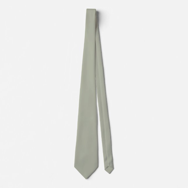 Saybrook Sage Solid Color Neck Tie (Front)