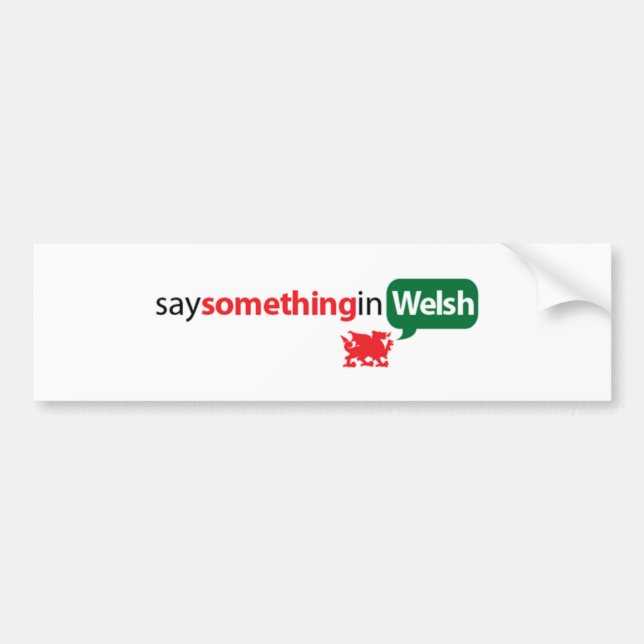 SaySomethinginWelsh Bumper Sticker (Front)