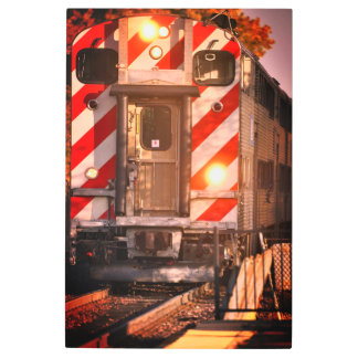 SB Train Metal Print