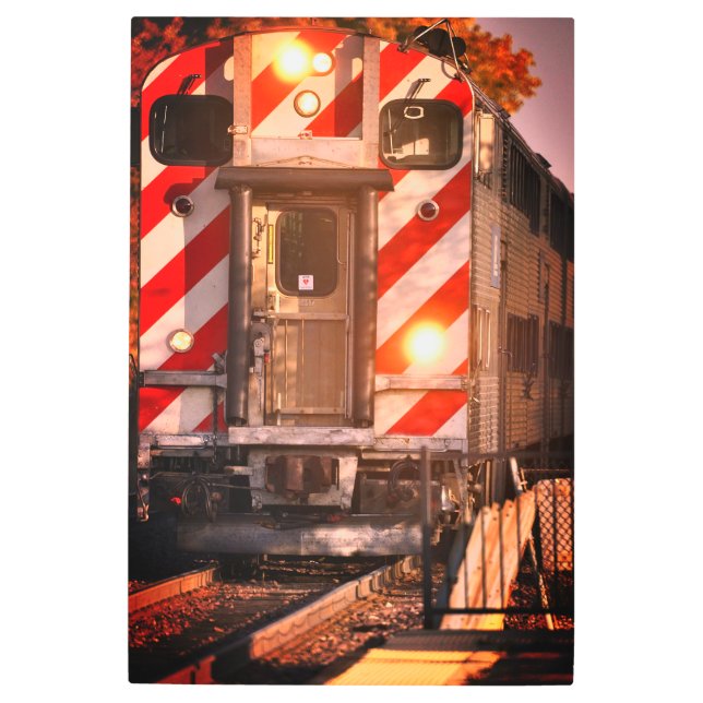 SB Train Metal Print (Front)