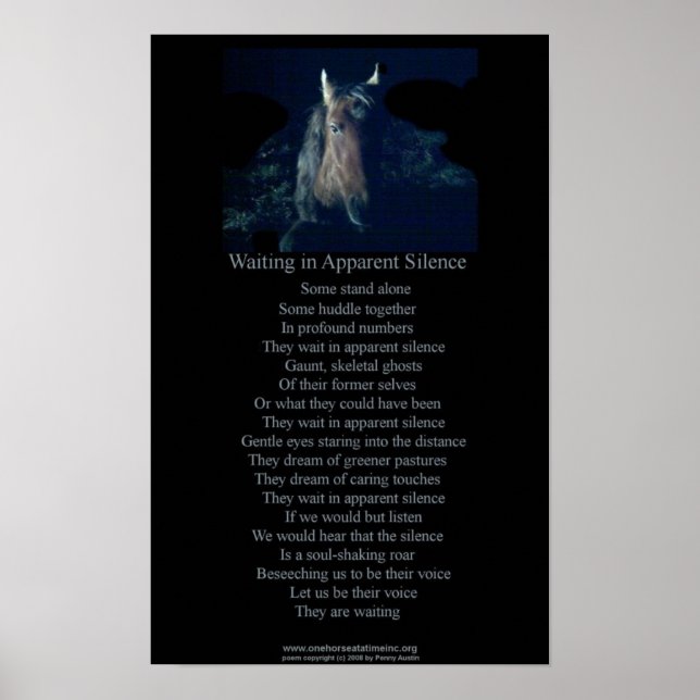 SC poster inc (Front)